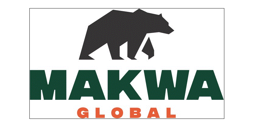 Makwa Global LLC - Finance Manager and Project Control