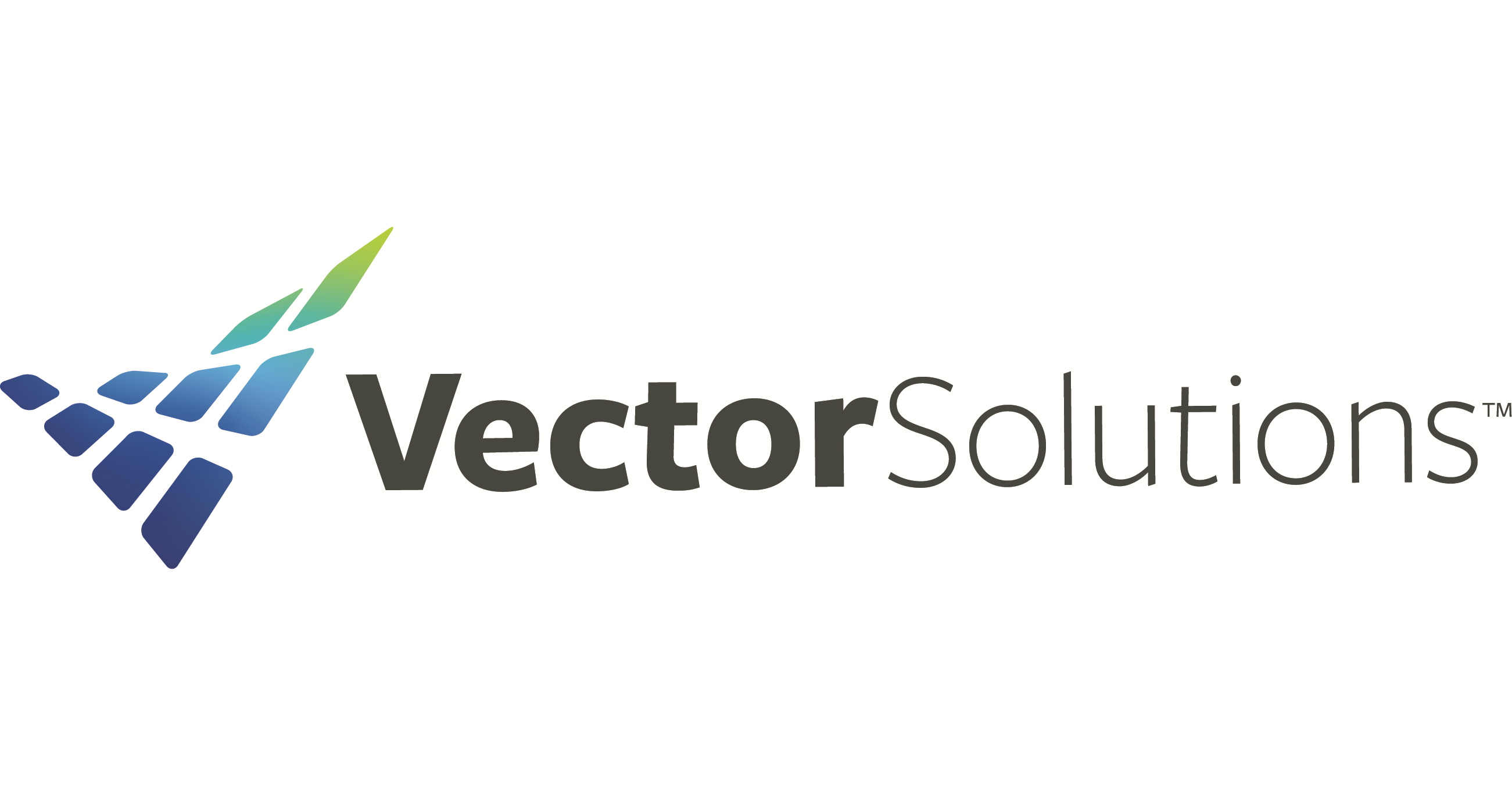 vector-solutions-vp-svp-diversity-equity-and-inclusion-application