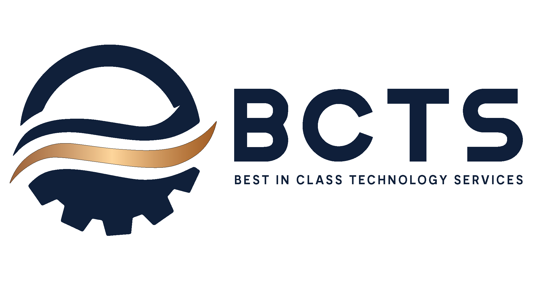 BCTS Intermediate LLC - Integration Manager - M&A