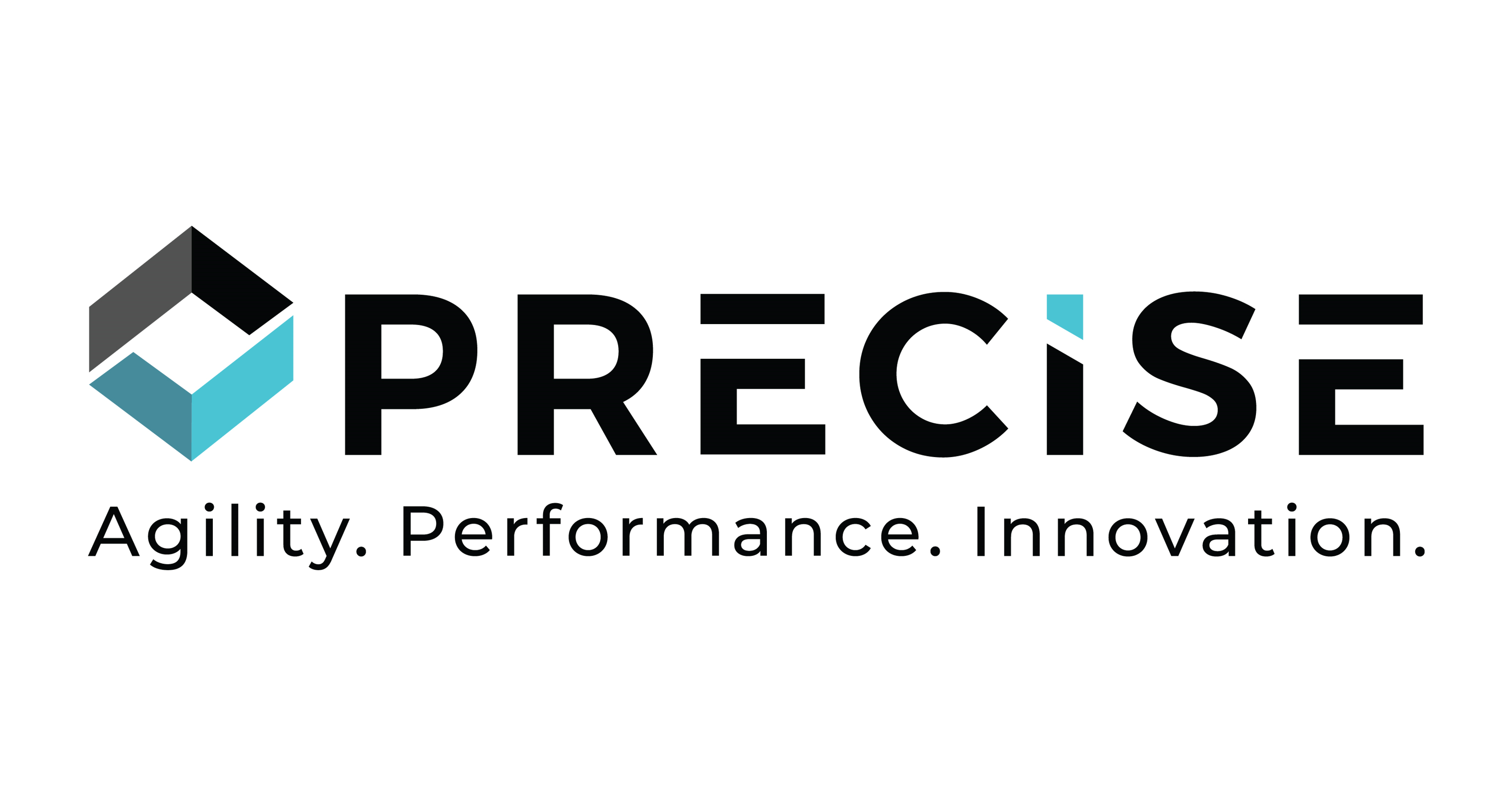 PRECISE SOFTWARE SOLUTIONS logo