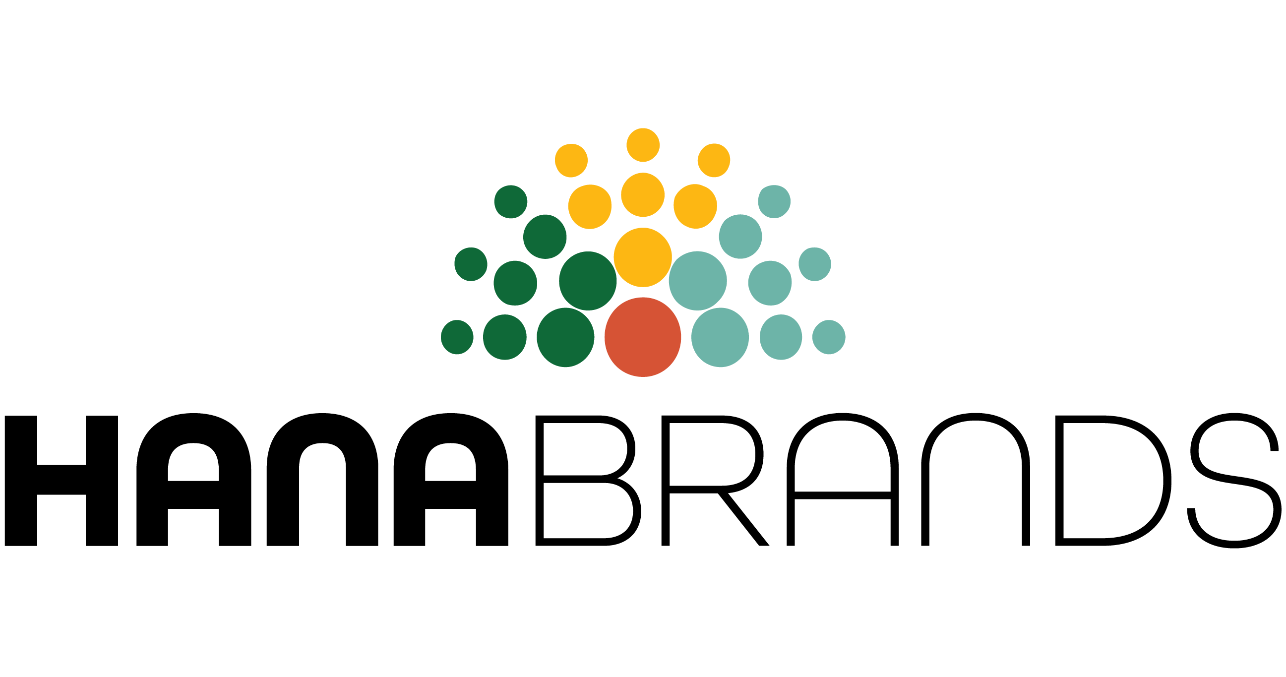 Hana Group - Director, Operations Application