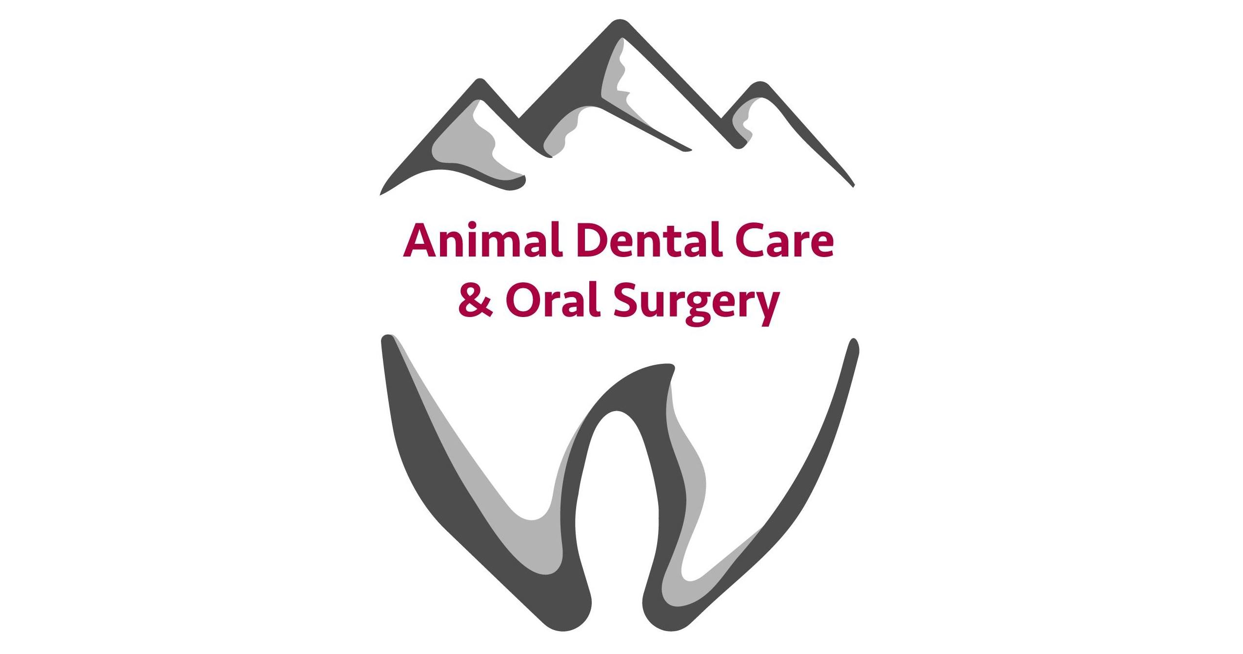 Veterinary Dental Management Services Job Opportunities