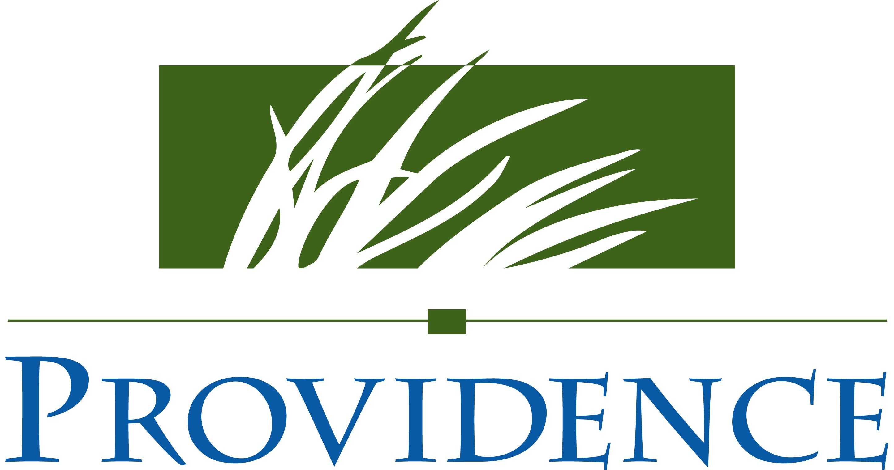 providence-engineering-and-environmental-group-llc-job-opportunities