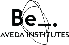 Aveda Institute