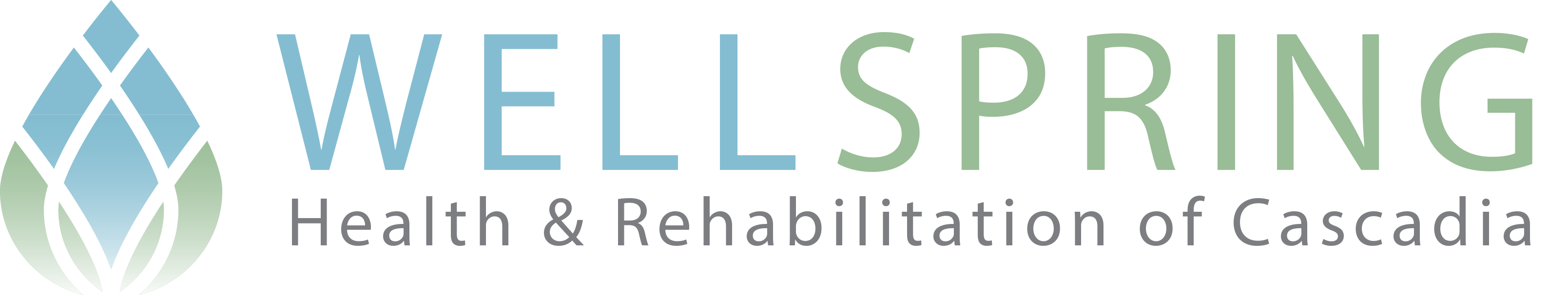 Wellspring Health & Rehabilitation