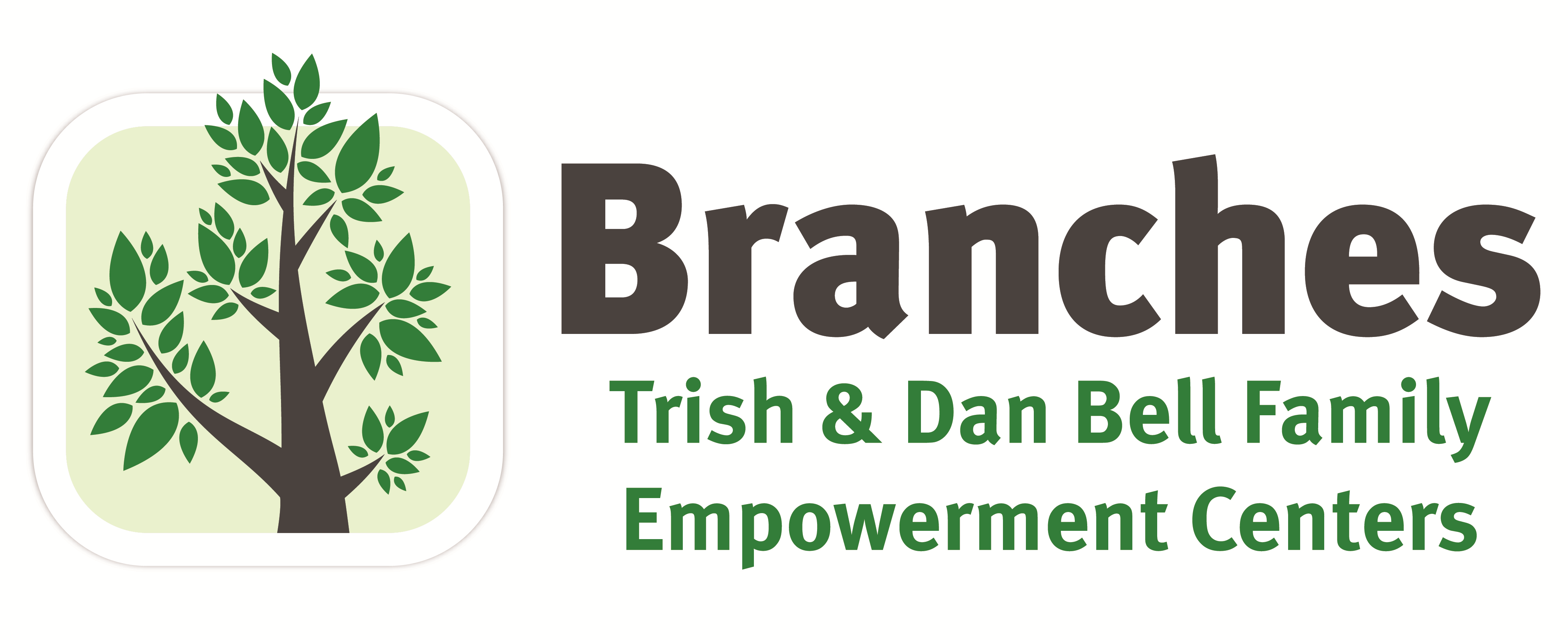 BRANCHES INC logo