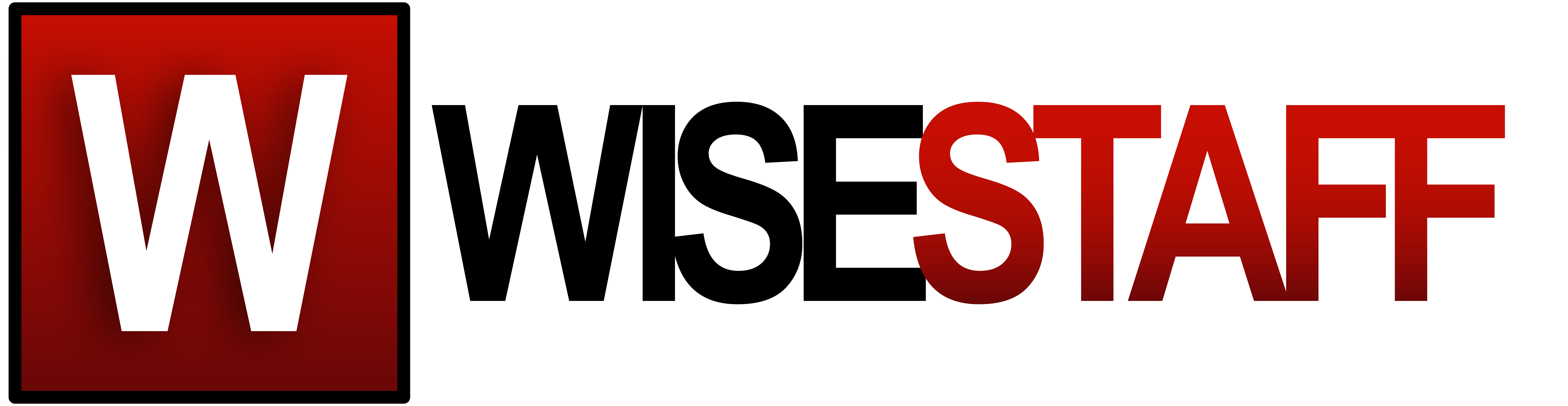 Wisestaff LLC logo