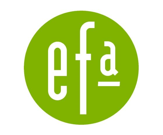 Eric Fisher Academy Inc logo