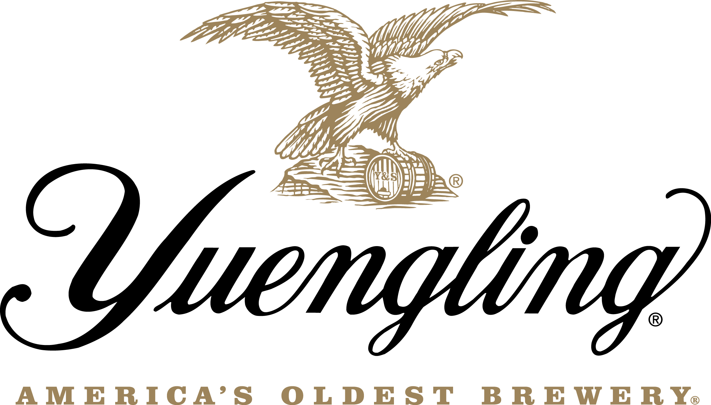 D. G. Yuengling & Son, Inc. logo