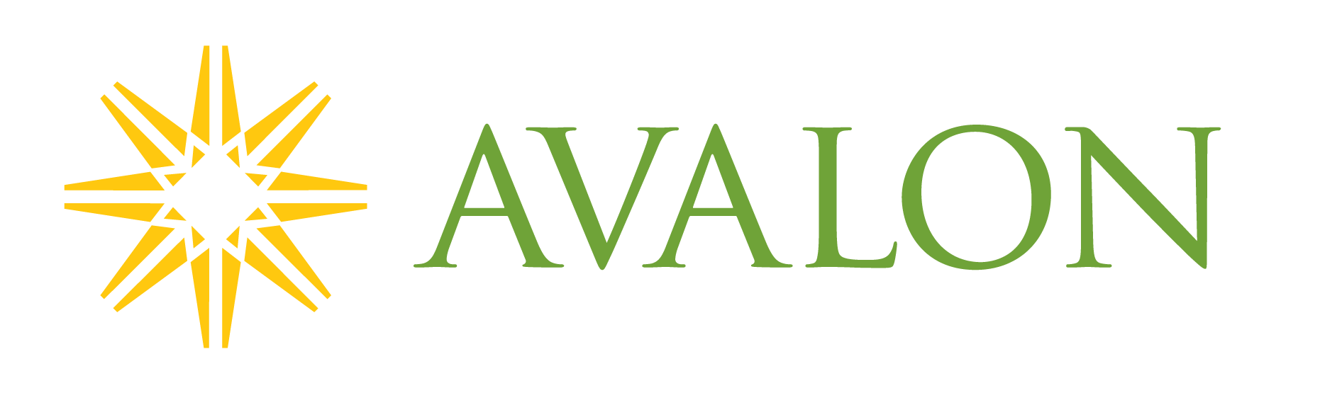 The Avalon Consulting Group, Llc logo