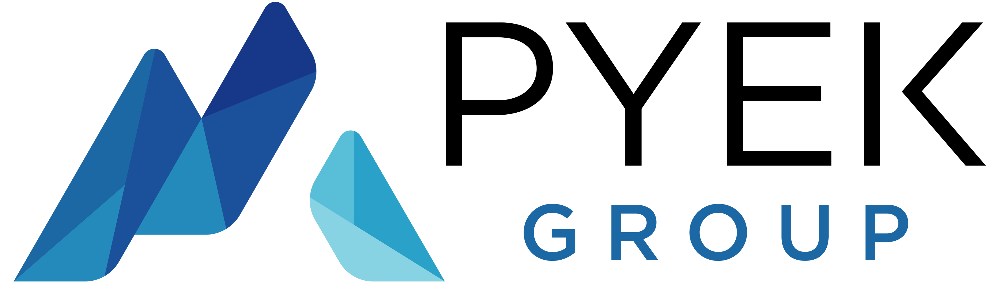PYEK GROUP logo