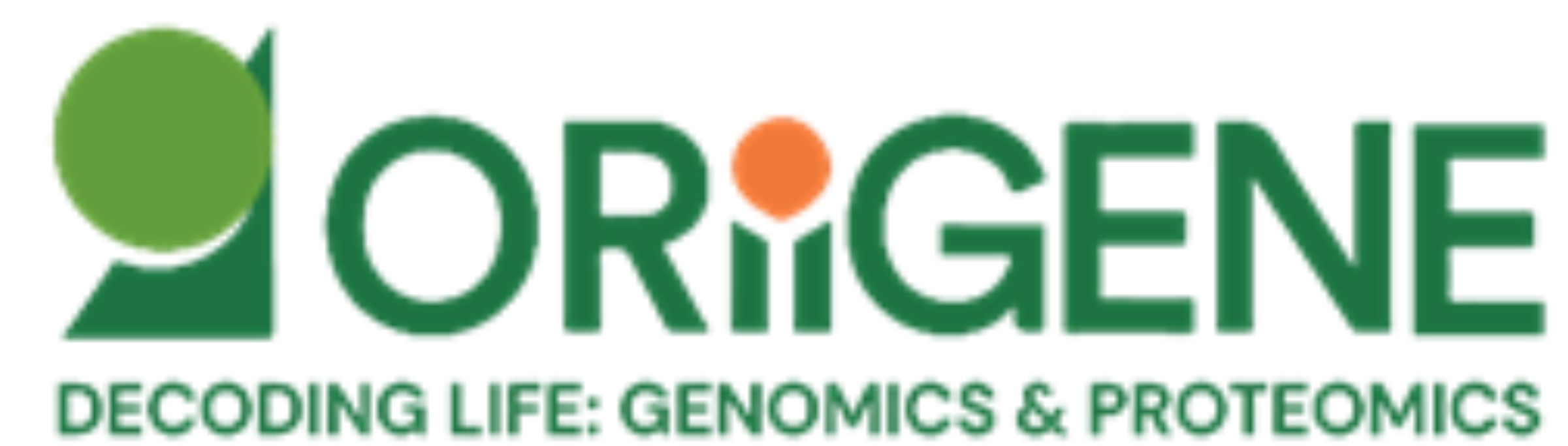 Product Development – Ap...