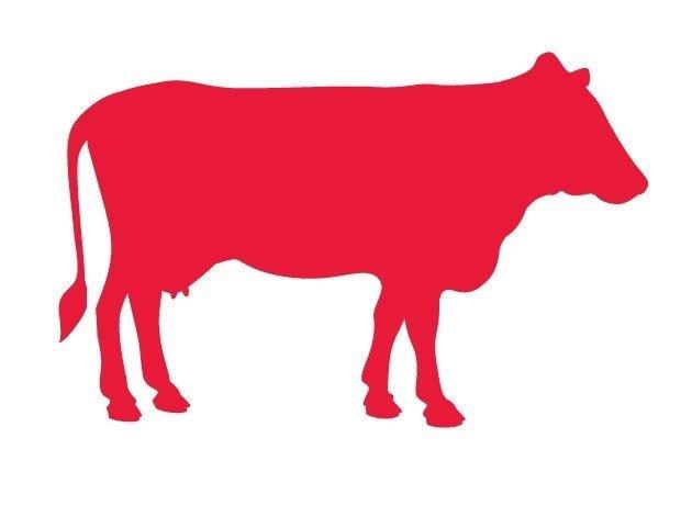 Day Porter – Janitorial (Part-Time)