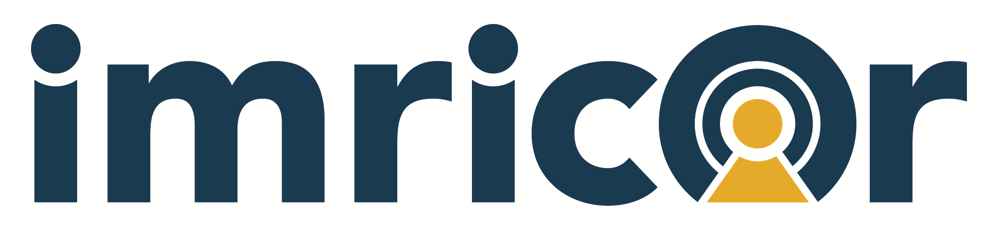 Imricor Medical Systems Inc logo