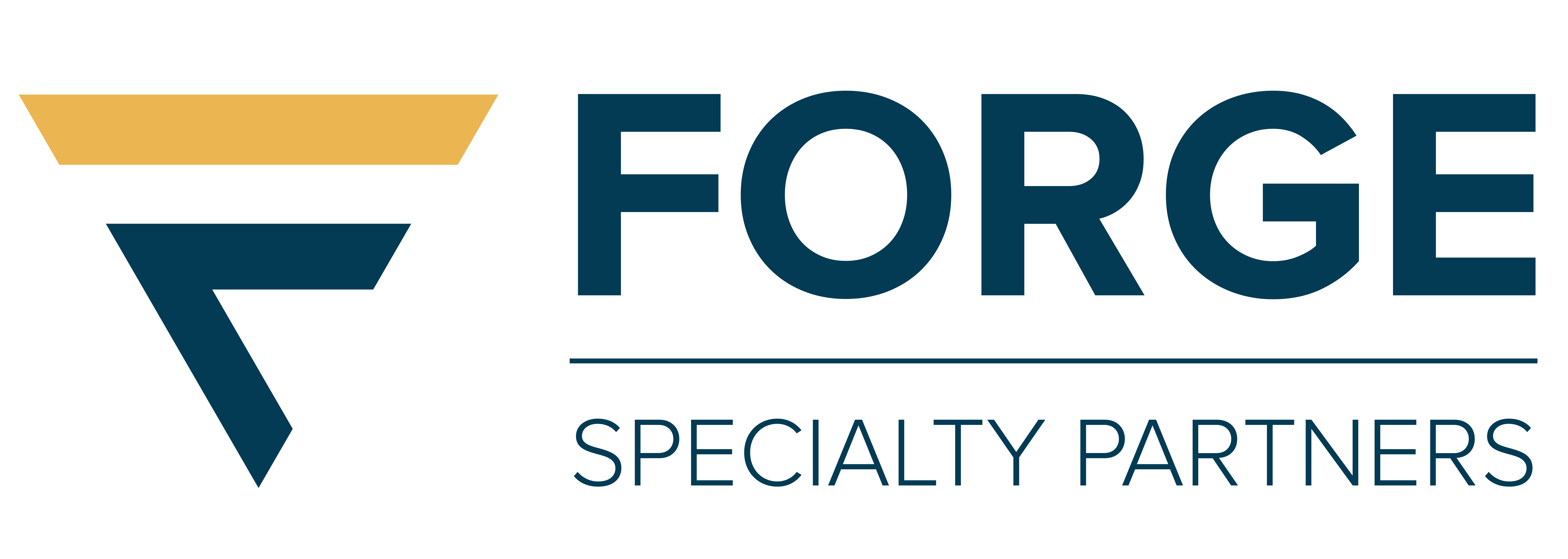 TOAFS LLC logo