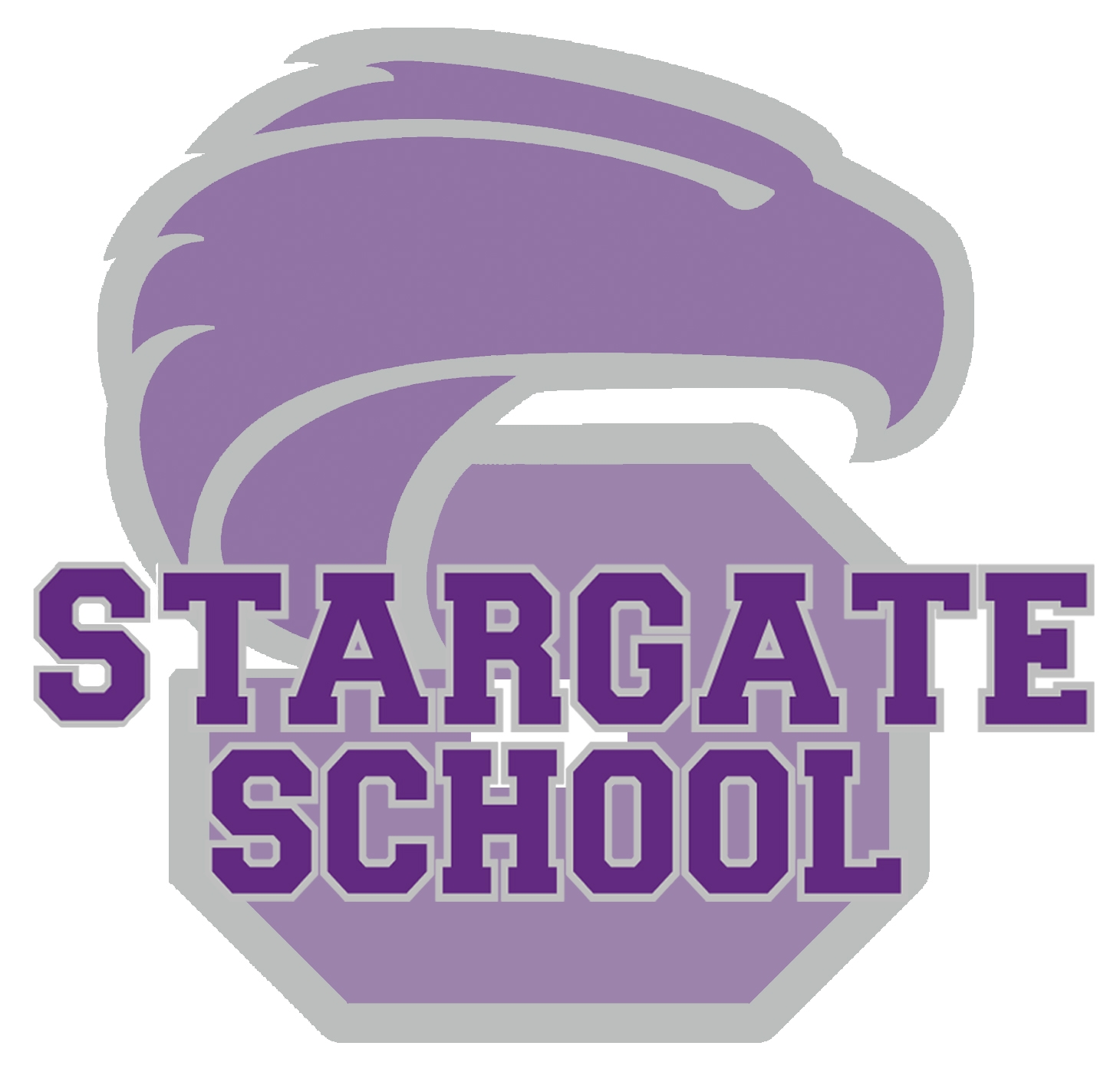 High School JV Boys Basketball...