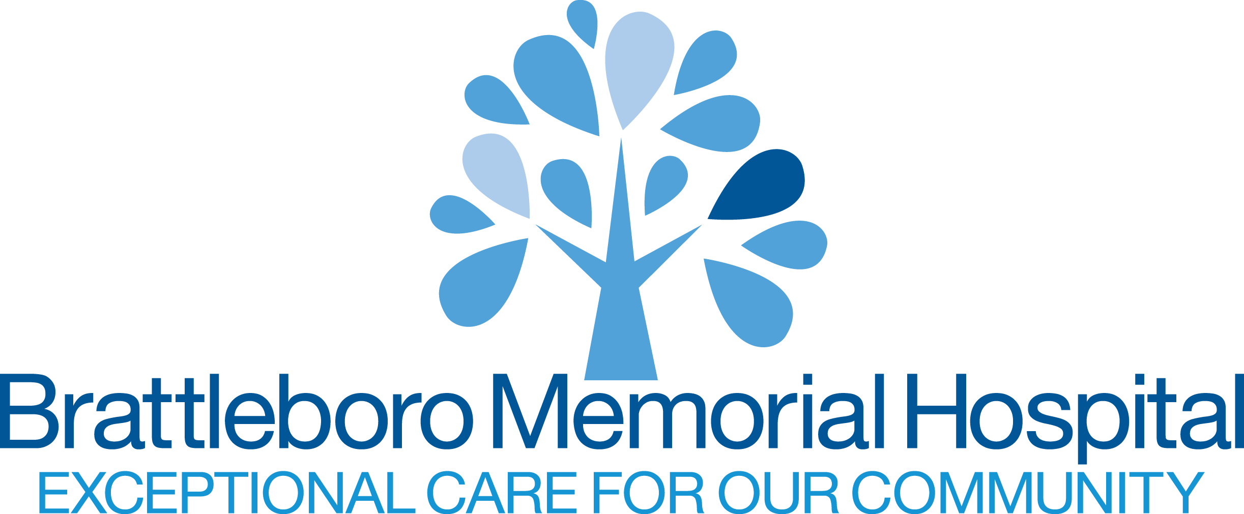 Brattleboro Memorial Hospital logo