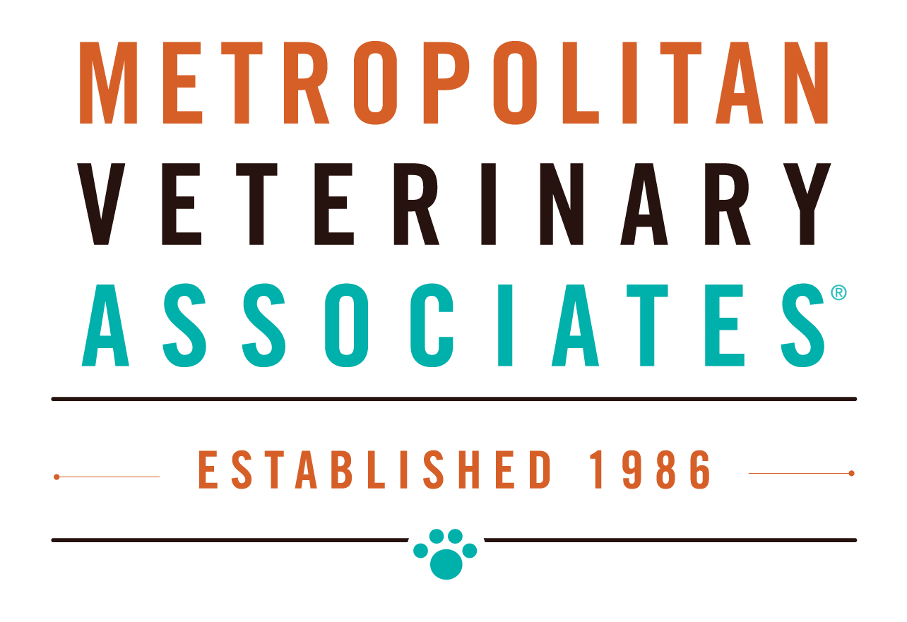 Veterinary Technician – Oncology