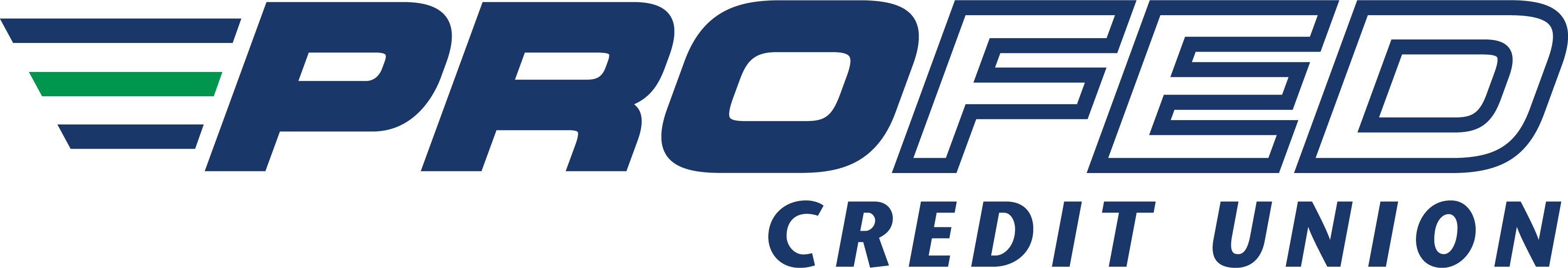 Profed Federal Credit Union logo