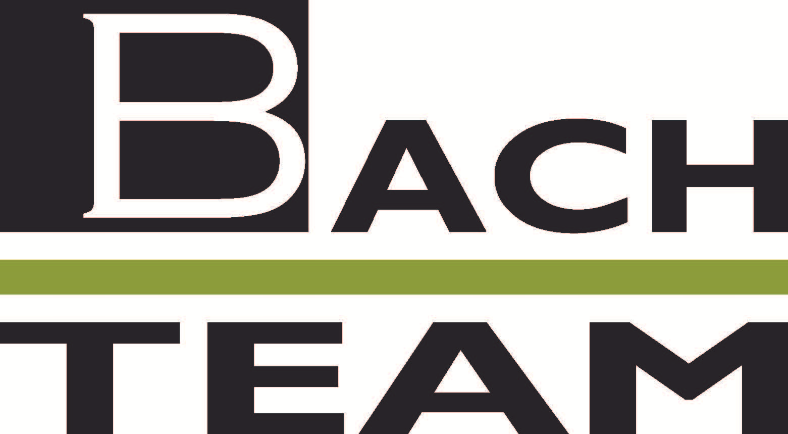 Bach Team LLC
