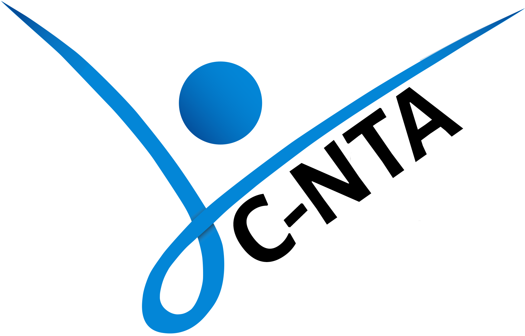 Croyle-Nielsen Therapeutic Associates logo