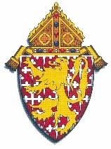 Catholic Charities of the Diocese of Wilmington logo