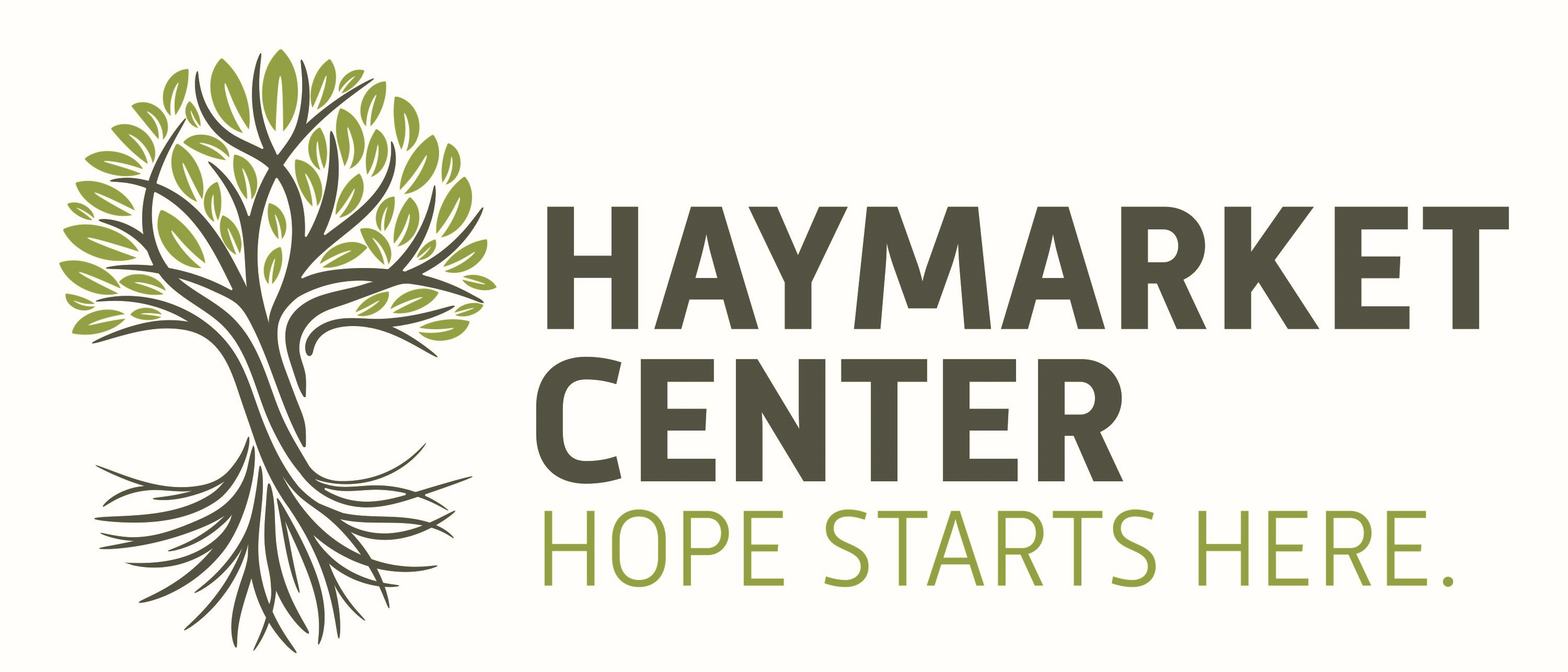 HAYMARKET CENTER logo
