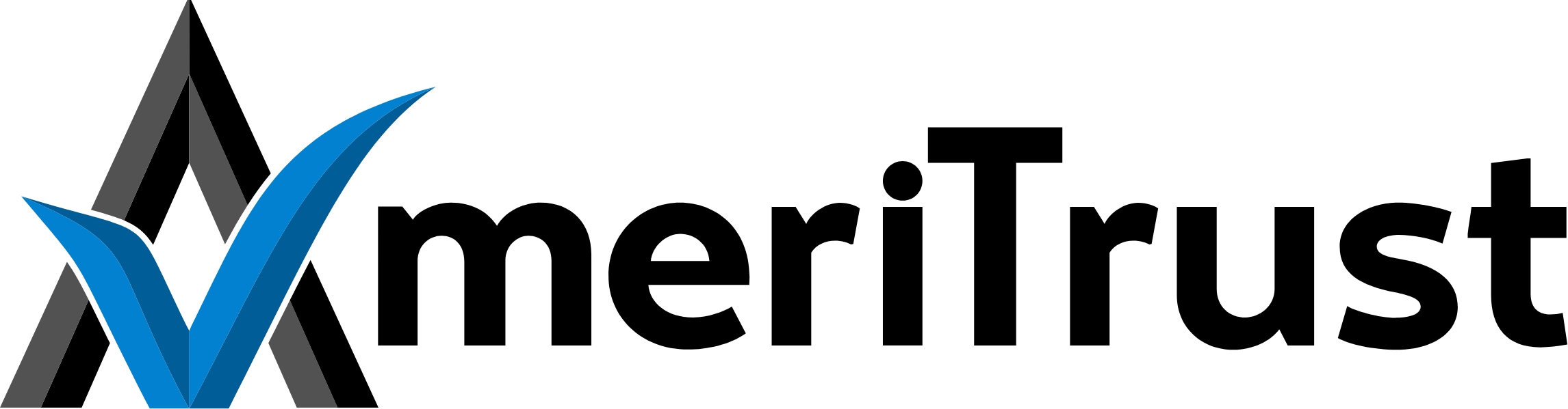 AMERITRUST AUTO LLC