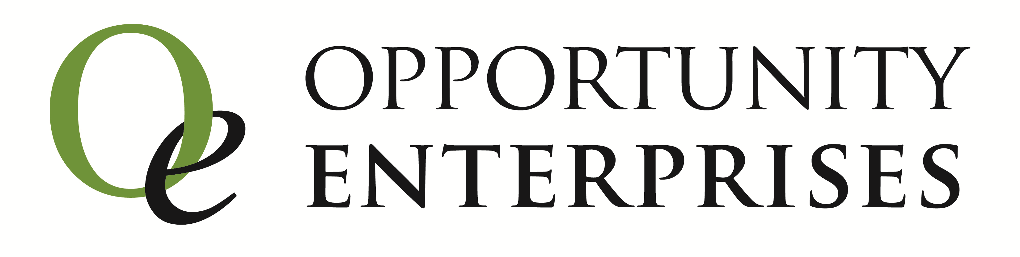 Opportunity Enterprises Inc logo