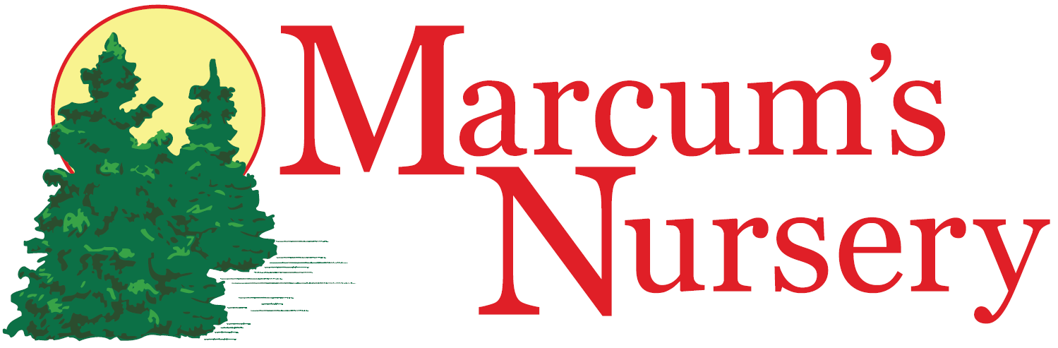 Marcum's Nursery