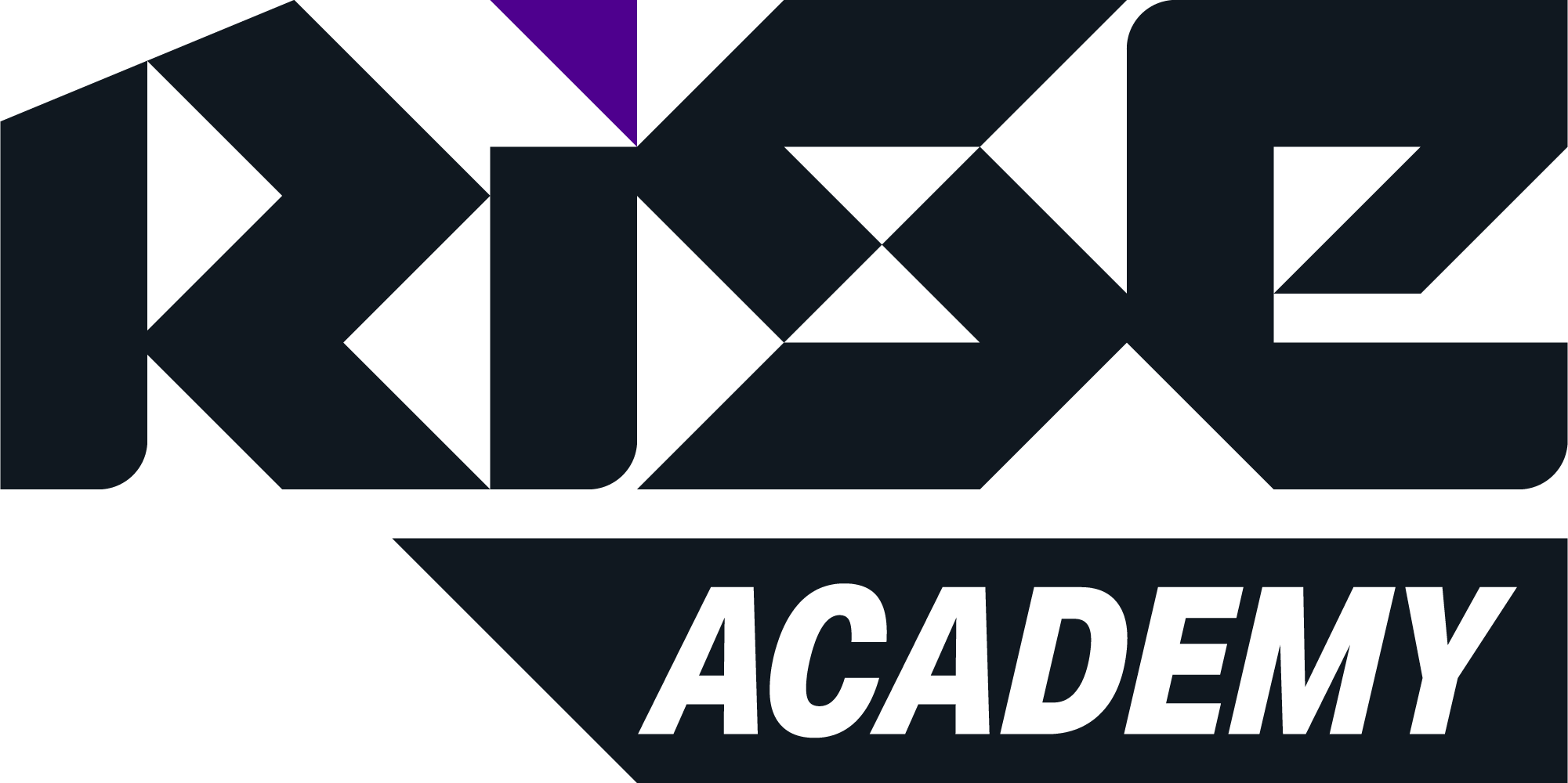 Rise Academy logo