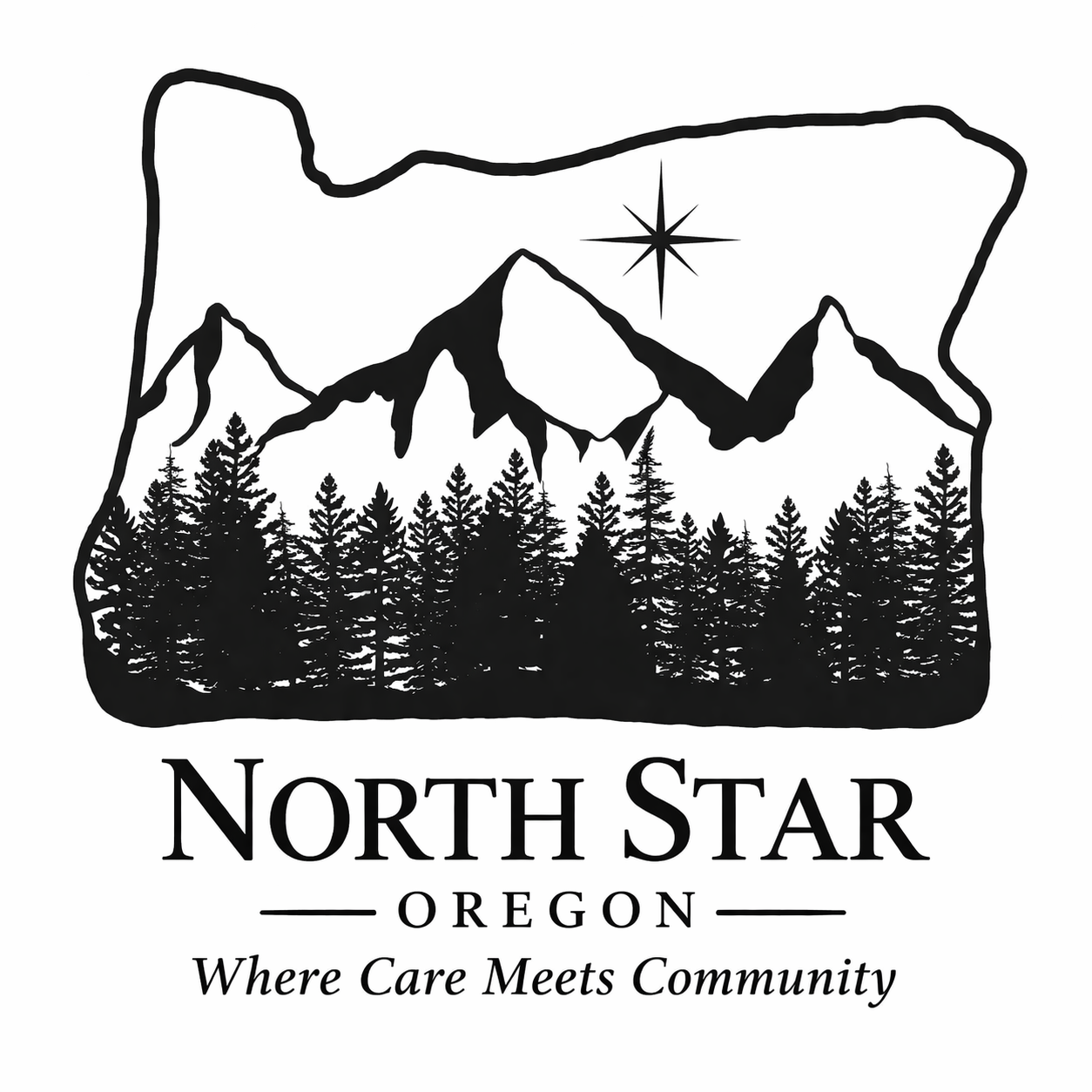 North Star Oregon LLC logo