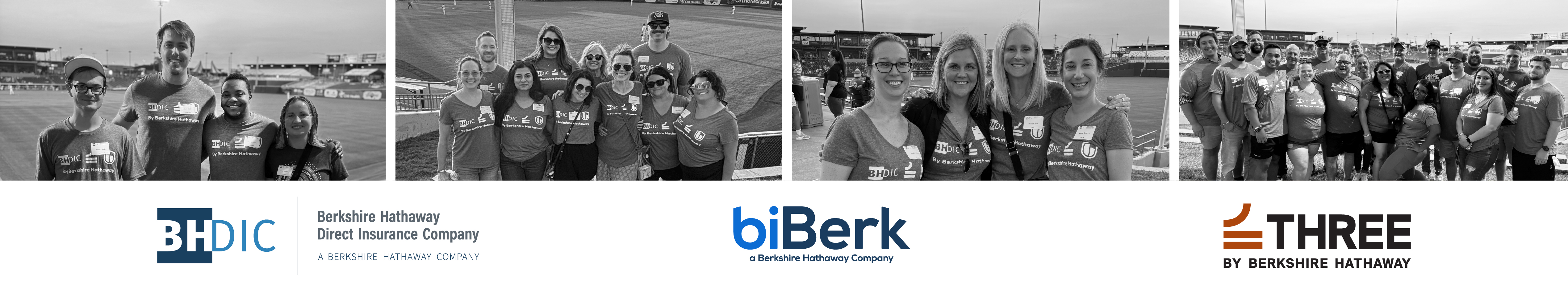 Berkshire Hathaway Direct Insurance Company logo