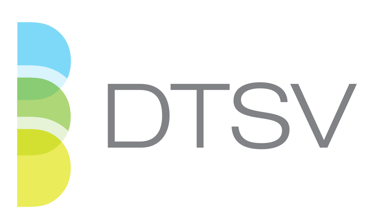 DTSV Inc