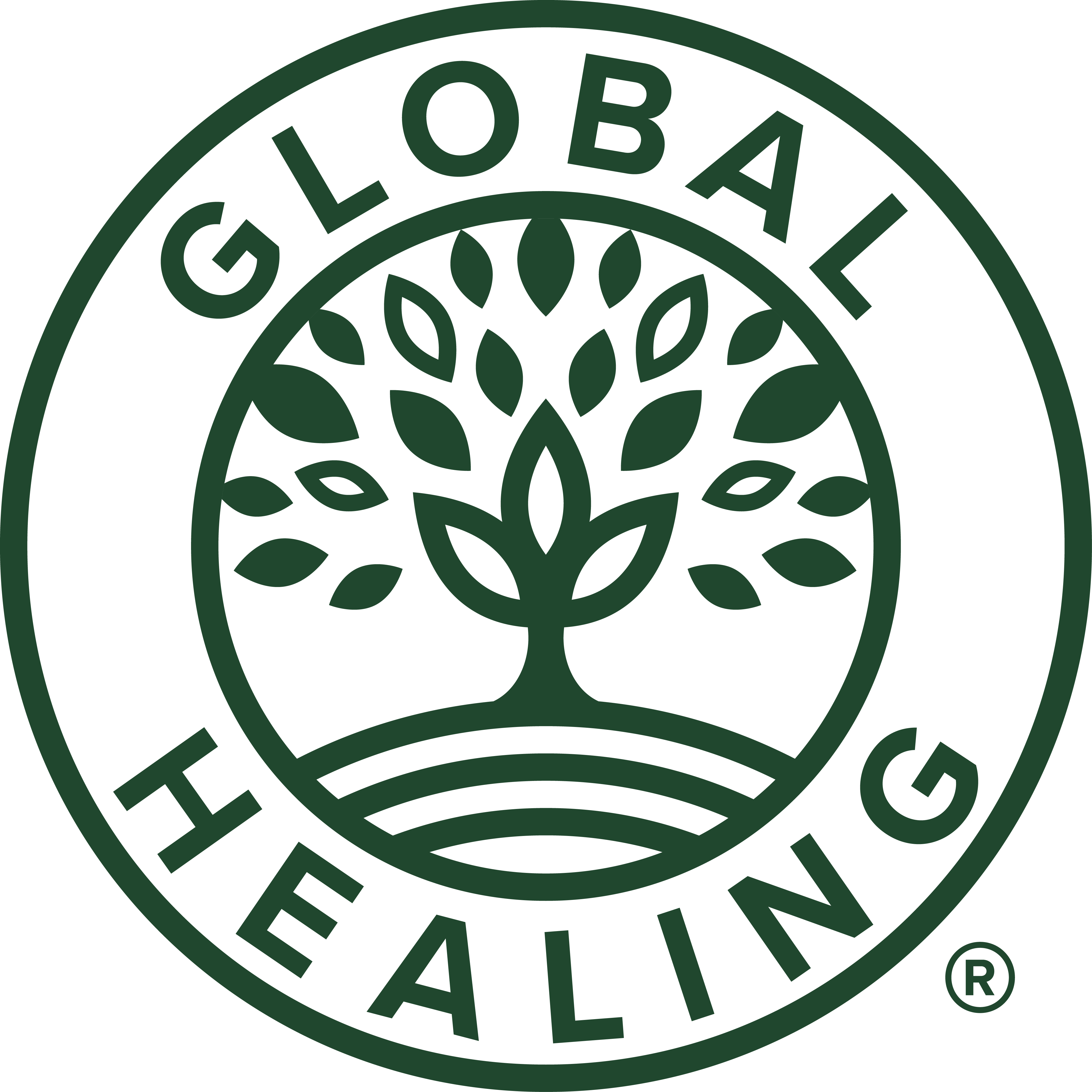 GLOBAL HEALING CENTER, LLC