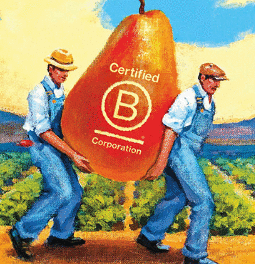 Senior Warehouse Coordinator